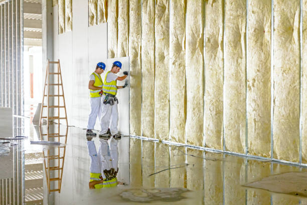 Best Residential Insulation in Clarkson, KY